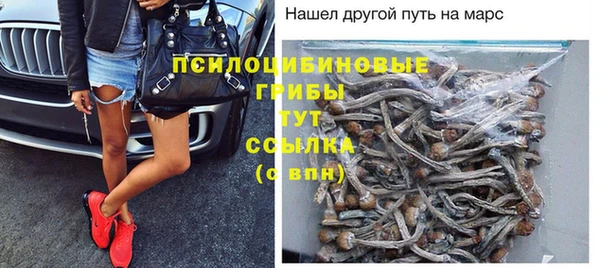 сатива Алексин