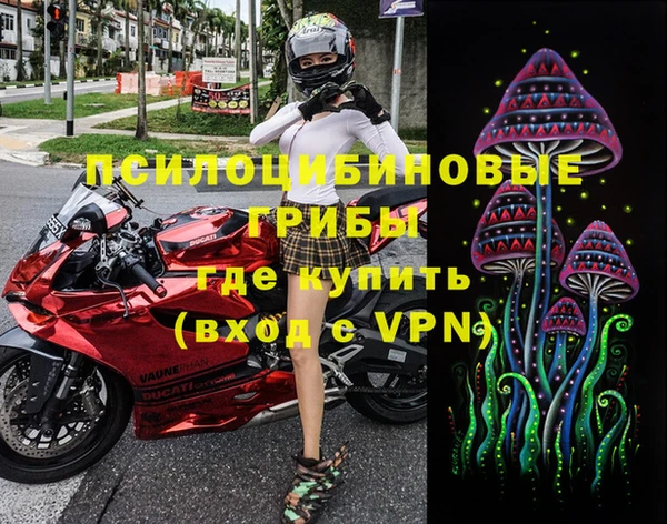 винт Алексеевка