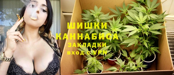 винт Алексеевка