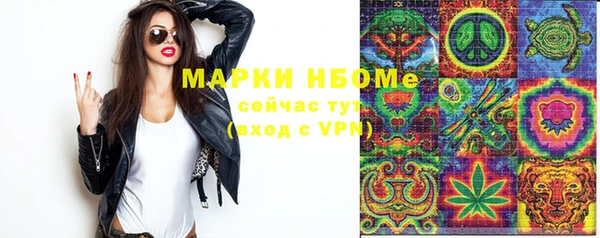 сатива Алексин