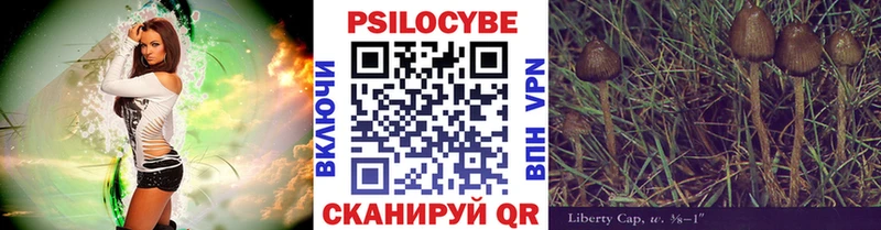 гидра ONION Перевоз Псилоцибиновые грибы Cubensis как найти наркотики